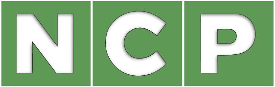 National Civil Process Service